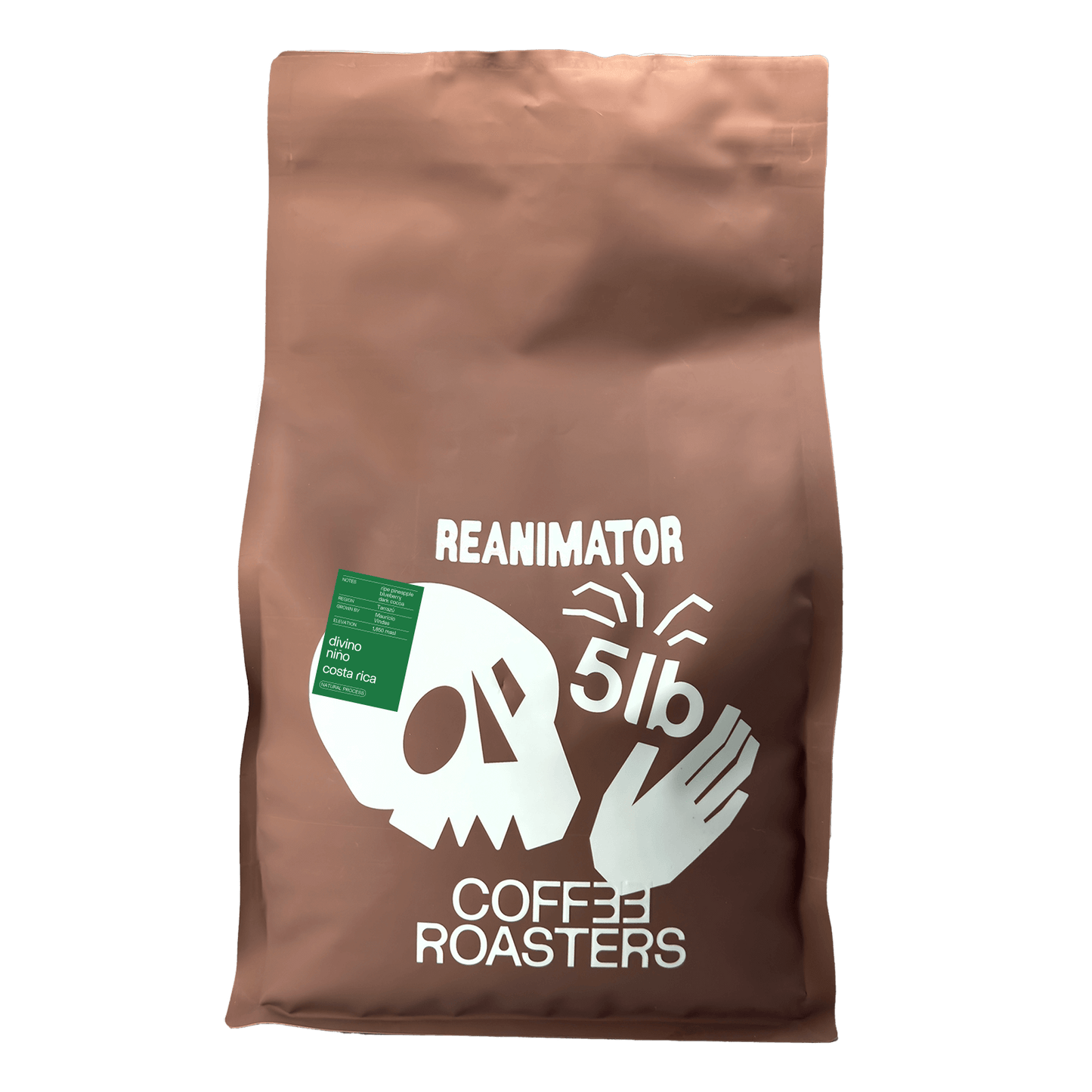 Brown 5 lb bag of Reanimator Coffee Roasters Costa Rica Divino Niño with skull and hand graphic design.