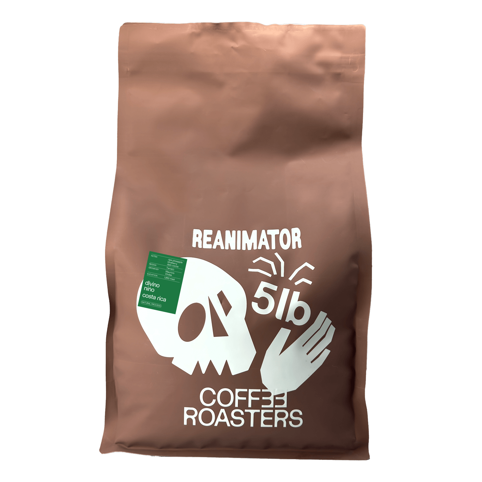 Brown 5 lb bag of Reanimator Coffee Roasters Costa Rica Divino Niño with skull and hand graphic design.