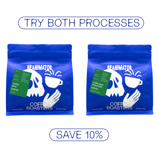 Bolivia Rosita Java Processing Bundle